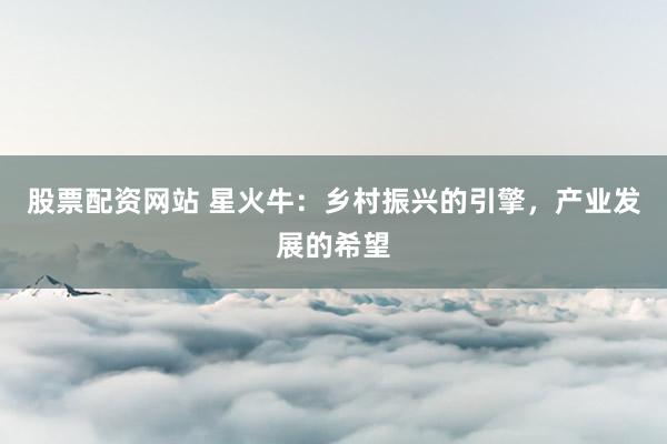 股票配资网站 星火牛：乡村振兴的引擎，产业发展的希望