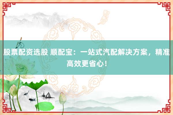 股票配资选股 顺配宝：一站式汽配解决方案，精准高效更省心！