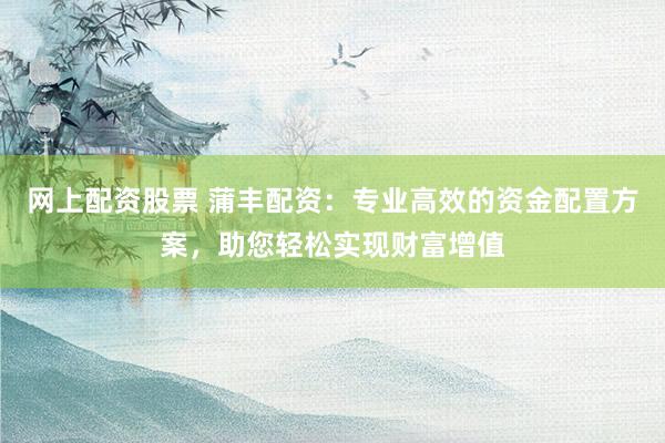 网上配资股票 蒲丰配资：专业高效的资金配置方案，助您轻松实现财富增值