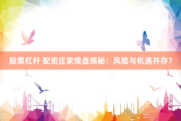 股票杠杆 配资庄家操盘揭秘：风险与机遇并存？