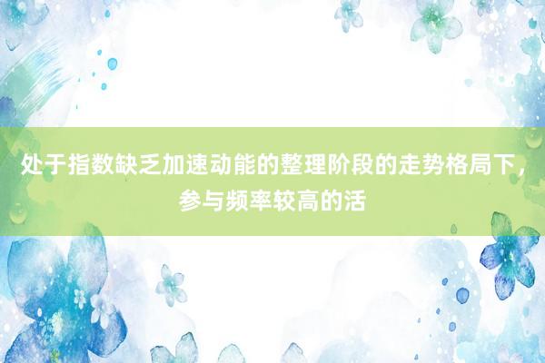 处于指数缺乏加速动能的整理阶段的走势格局下，参与频率较高的活