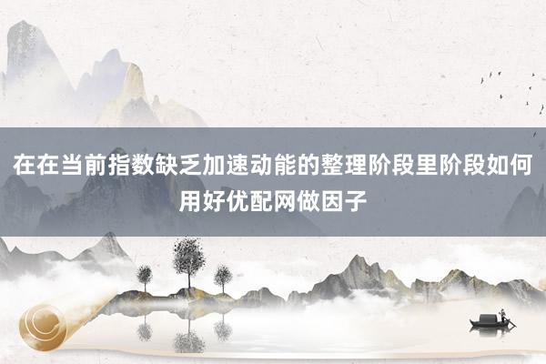 在在当前指数缺乏加速动能的整理阶段里阶段如何用好优配网做因子