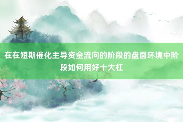 在在短期催化主导资金流向的阶段的盘面环境中阶段如何用好十大杠
