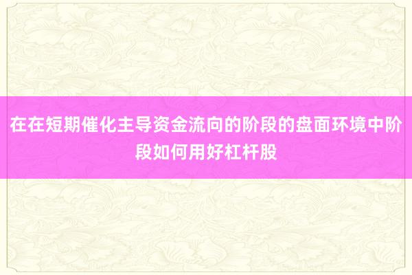 在在短期催化主导资金流向的阶段的盘面环境中阶段如何用好杠杆股