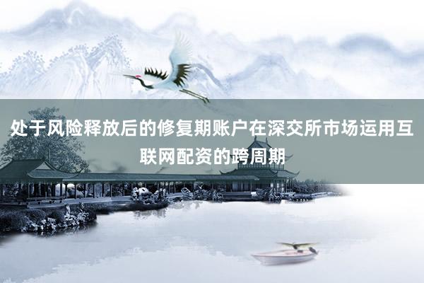 处于风险释放后的修复期账户在深交所市场运用互联网配资的跨周期