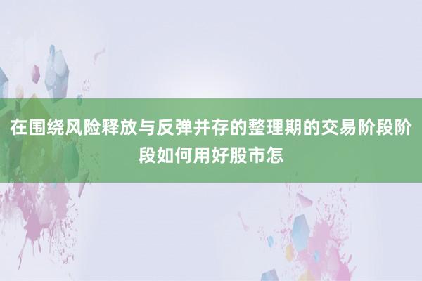 在围绕风险释放与反弹并存的整理期的交易阶段阶段如何用好股市怎