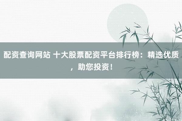 配资查询网站 十大股票配资平台排行榜：精选优质，助您投资！