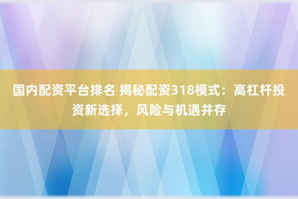 国内配资平台排名 揭秘配资318模式：高杠杆投资新选择，风险与机遇并存