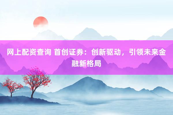 网上配资查询 首创证券：创新驱动，引领未来金融新格局